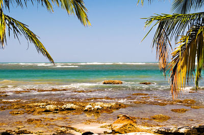 Scenic view of sea against clear blue sky