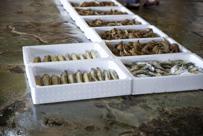 High angle view of food for sale