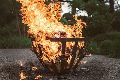 Bonfire on wooden log