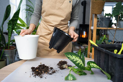 Midsection of man holding potted plant