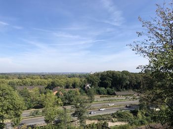 High angle view of road amidst plants against sky