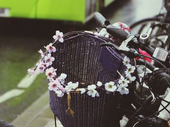 Close-up of flowers