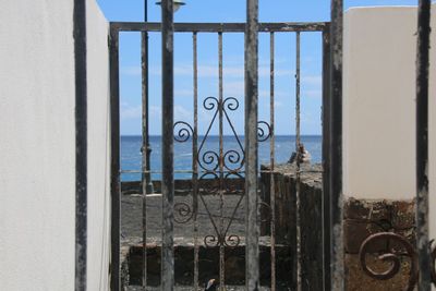 Closed window of building