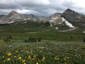 Scenic view of cloudy sky