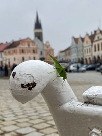 Close-up of snow on city buildings