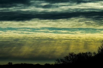 Scenic view of trees against sky