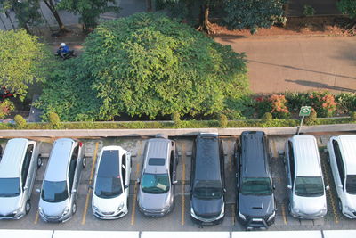 Parking rows