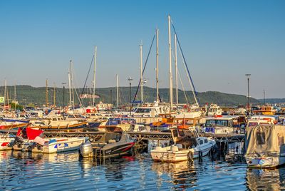 Boats moored in harbor