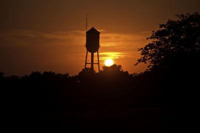 Low angle view of tree against sky at night
