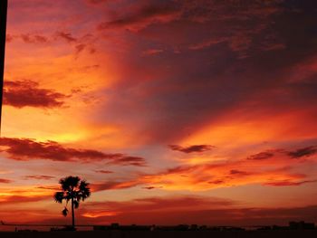 Low angle view of silhouette trees against dramatic sky