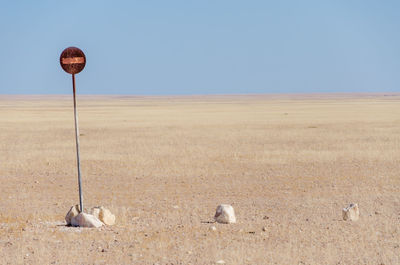 No entry sign in desert against clear sky