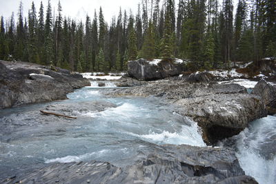 Scenic view of waterfall in forest against sky