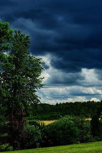 Trees on field against storm clouds