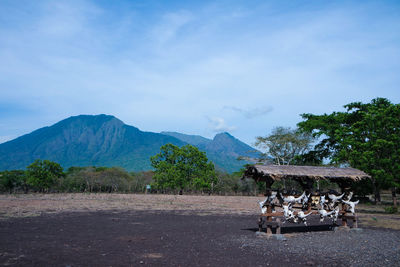 View of agricultural landscape against mountain range