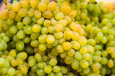 Full frame shot of grapes