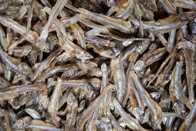 Full frame shot of fish in market
