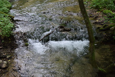 Stream flowing through rocks