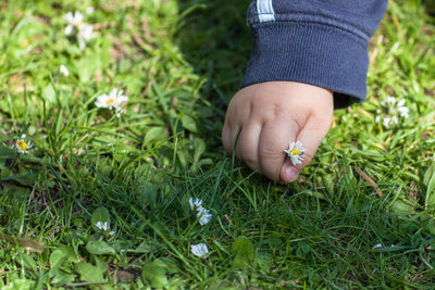 Low section of man standing on grassy field