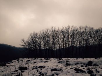 Snow covered landscape