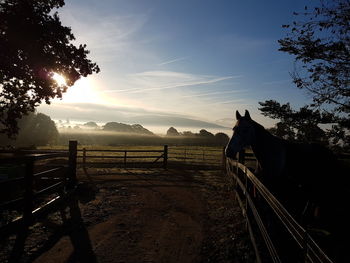 Silhouette trees on mountain against sky during sunset