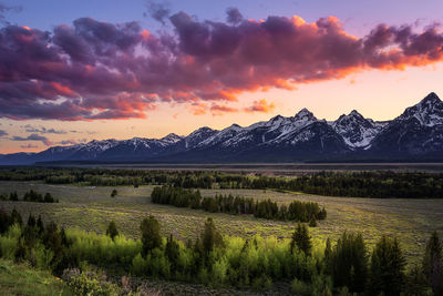 Scenic view of field against sky during sunset