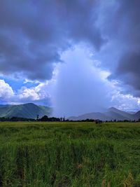 Scenic view of field against sky