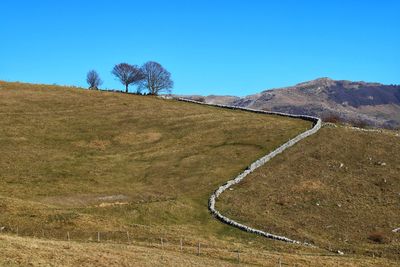 Scenic view of field against clear blue sky