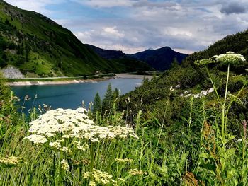 Scenic view of lake and mountains against sky