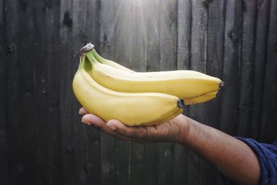 Close-up of hand holding bananas