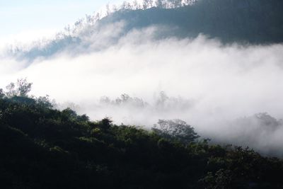 Scenic view of fog against sky