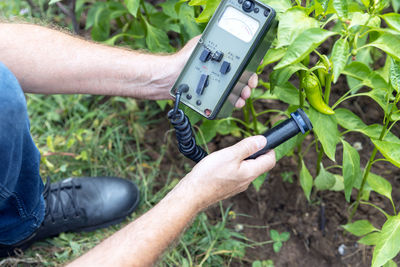 Measurement the natural radioactivity concentration levels in vegetables