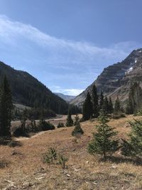 Up the maroon bells