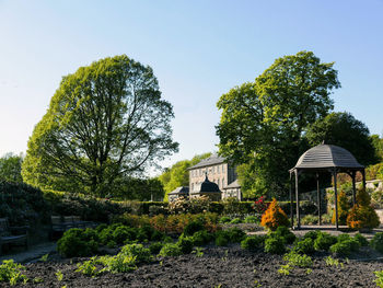 Trees and plants growing outside pollok house in garden against sky