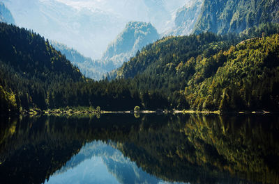 Scenic view of lake by trees against sky