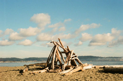 Driftwood on beach against sky