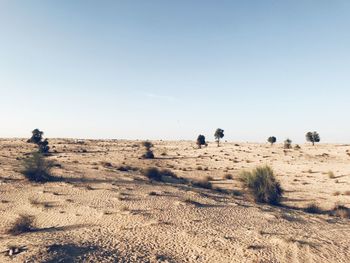 Scenic view of desert against clear sky