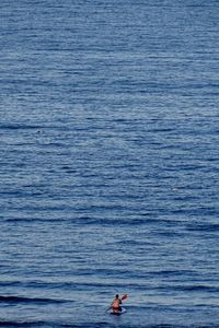 People enjoying in sea