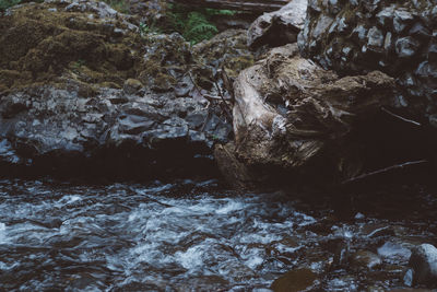 Close-up of water flowing through rocks