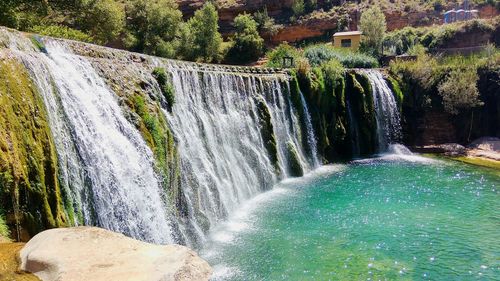 Scenic view of waterfall in forest