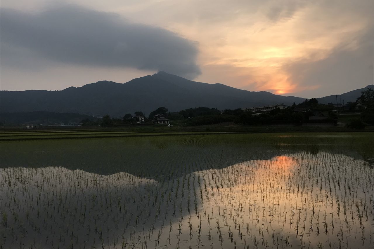 water, reflection, sunset, nature, scenics, agriculture, beauty in nature, tranquil scene, tranquility, sky, mountain, no people, landscape, outdoors, waterfront, rice paddy, lake, rice - cereal plant, growth, rural scene, day, salt - mineral