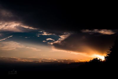 Silhouette of tree against cloudy sky