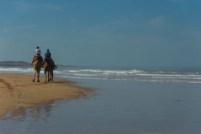 Rear view of people riding on beach against sky