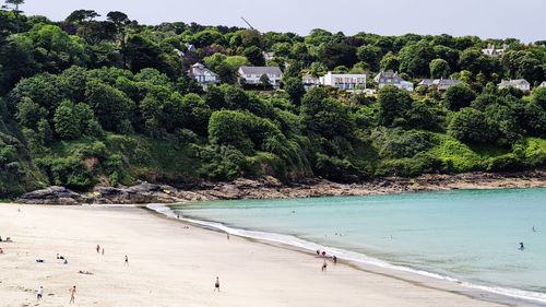 Scenic view of beach