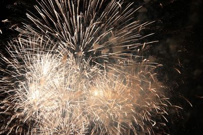 Firework display at night