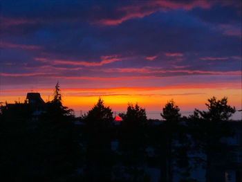 Silhouette trees and buildings against sky at sunset
