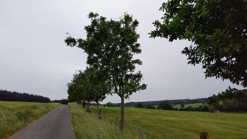 Road amidst trees on field against sky