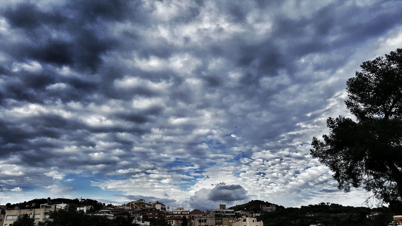 tree, sky, tranquil scene, landscape, tranquility, scenics, cloud - sky, beauty in nature, cloud, nature, solitude, blue, cloudy, non-urban scene, growth, day, outdoors, cloudscape, dramatic sky, majestic, green, storm cloud, no people, outline, countryside, atmospheric mood, remote