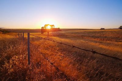 Scenic view of field against sky during sunset