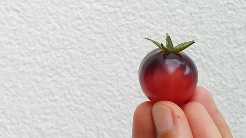 Midsection of person holding apple