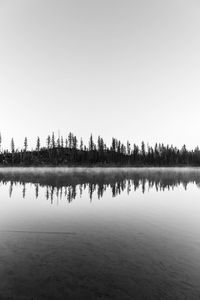 Black and white of pine trees reflected in a lake with mist, wyoming